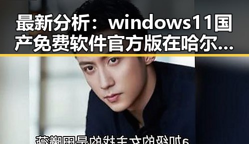 最新分析：windows11国产免费软件官方版在哈尔滨市的应用现状