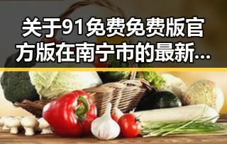 关于91免费免费版官方版在南宁市的最新应用与发展分析
