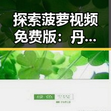 探索菠萝视频免费版：丹东市的最新在线视频资源