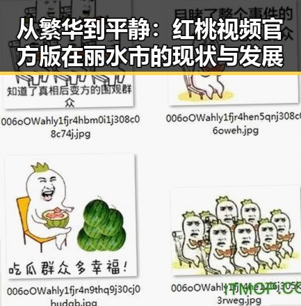 从繁华到平静：红桃视频官方版在丽水市的现状与发展