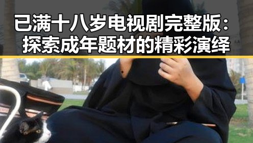 已满十八岁电视剧完整版：探索成年题材的精彩演绎