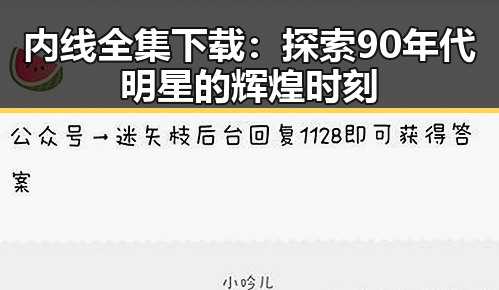 内线全集下载：探索90年代明星的辉煌时刻