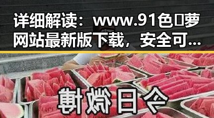 详细解读:www.91色😍萝网站最新版下载,安全可靠的选择指南