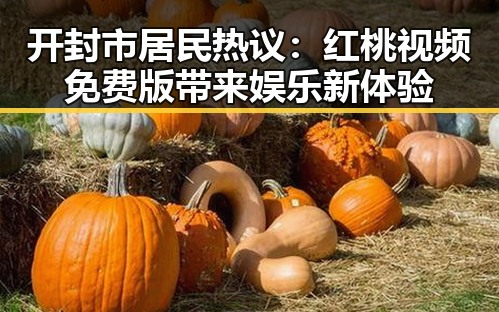 开封市居民热议：红桃视频免费版带来娱乐新体验