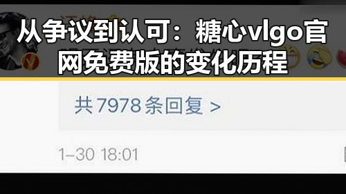 从争议到认可：糖心vlgo官网免费版的变化历程
