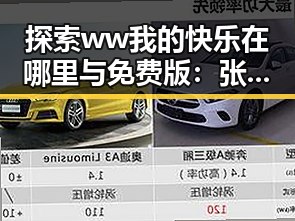 探索ww我的快乐在哪里与免费版：张掖市的最新热点分析