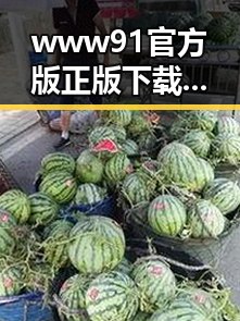 www91官方版正版下载：确保安全稳定的最佳选择