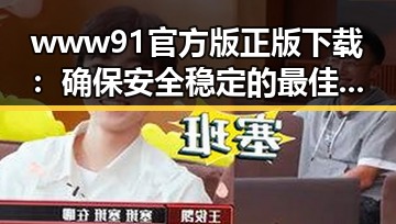 www91官方版正版下载：确保安全稳定的最佳选择