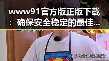 www91官方版正版下载：确保安全稳定的最佳选择