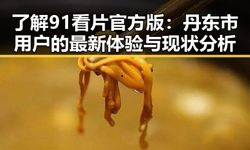了解91看片官方版：丹东市用户的最新体验与现状分析