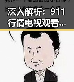 深入解析：911行情电视观看高清版百度网盘官方版的最新动态