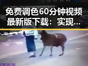 免费调色60分钟视频最新版下载：实现专业调色工具的便捷获取