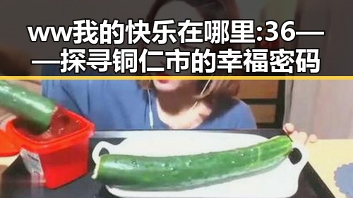 ww我的快乐在哪里:36——探寻铜仁市的幸福密码