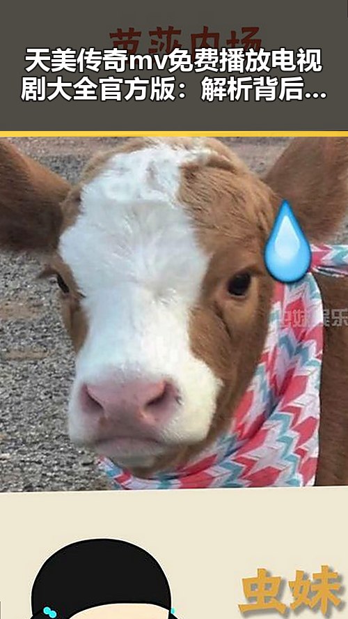天美传奇mv免费播放电视剧大全官方版：解析背后的内容资源与推广策略