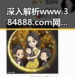 深入解析www.384888.com网站历史记录查询的现状与趋势