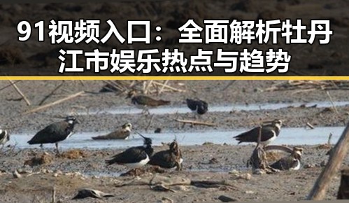 91视频入口：全面解析牡丹江市娱乐热点与趋势
