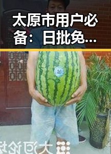 太原市用户必备：日批免费版下载指南