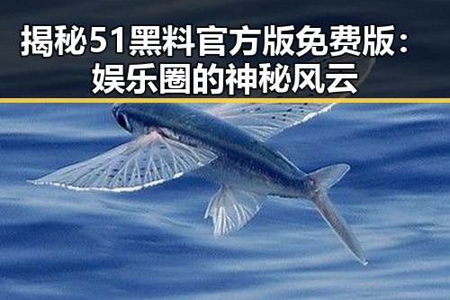 揭秘51黑料官方版免费版:娱乐圈的神秘风云