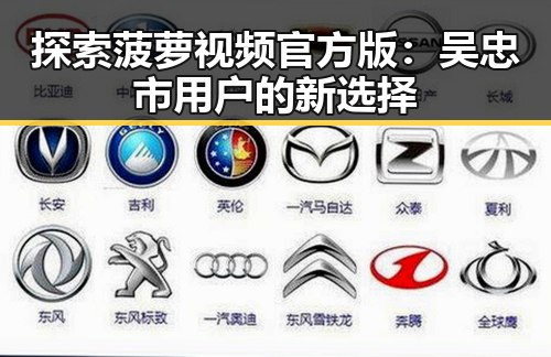 探索菠萝视频官方版：吴忠市用户的新选择