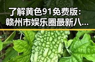 了解黄色91免费版：赣州市娱乐圈最新八卦资讯