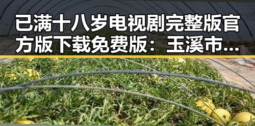 已满十八岁电视剧完整版官方版下载免费版：玉溪市粉丝热切关注