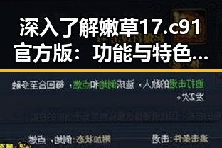 深入了解嫩草17.c 91官方版：功能与特色解析