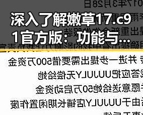 深入了解嫩草17.c 91官方版：功能与特色解析