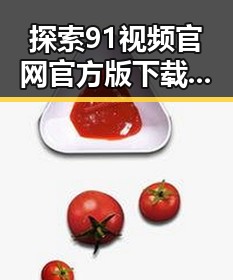 探索91视频官网官方版下载的最新动态与使用体验