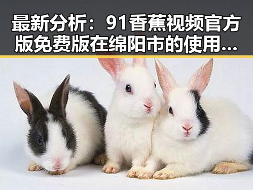 最新分析：91香蕉视频官方版免费版在绵阳市的使用现状