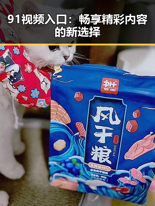 91视频入口：畅享精彩内容的新选择