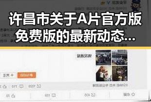 许昌市关于A片官方版免费版的最新动态与资源指南