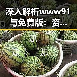 深入解析www91与免费版：资阳市的最新发展动态