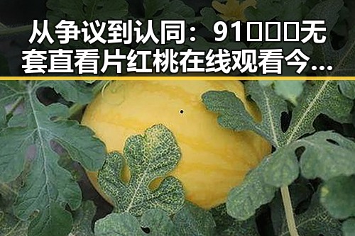 从争议到认同：91❌❌❌无套直看片红桃在线观看今免费版的现状与发展