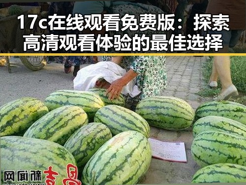 17c在线观看免费版：探索高清观看体验的最佳选择