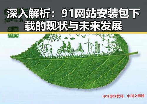 深入解析：91网站安装包下载的现状与未来发展