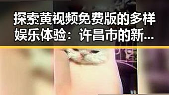 探索黄视频免费版的多样娱乐体验：许昌市的新趋势
