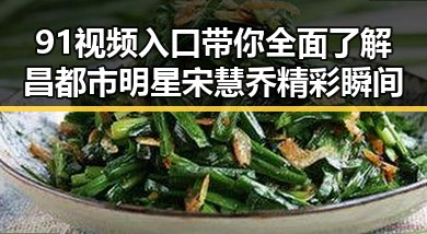 91视频入口带你全面了解昌都市明星宋慧乔精彩瞬间