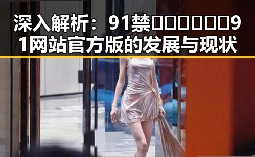 深入解析：91禁🍆🍑🔞❌❌❌91网站官方版的发展与现状