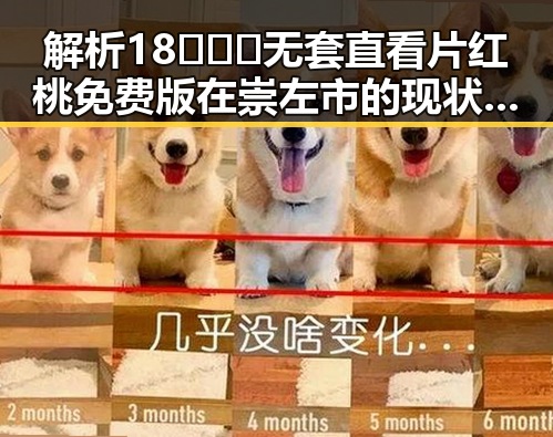 解析18❌❌❌无套直看片红桃免费版在崇左市的现状与发展