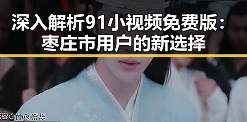 深入解析91小视频免费版：枣庄市用户的新选择