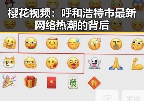樱花视频：呼和浩特市最新网络热潮的背后