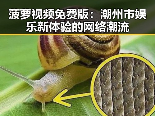 菠萝视频免费版：潮州市娱乐新体验的网络潮流