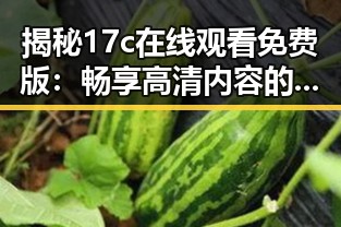 揭秘17c在线观看免费版：畅享高清内容的最佳选择