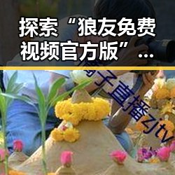 探索“狼友免费视频官方版”背后的内容与趋势