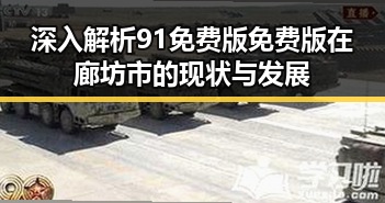 深入解析91免费版免费版在廊坊市的现状与发展