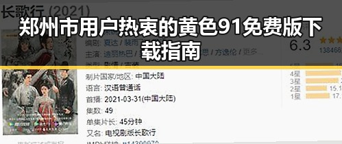 郑州市用户热衷的黄色91免费版下载指南