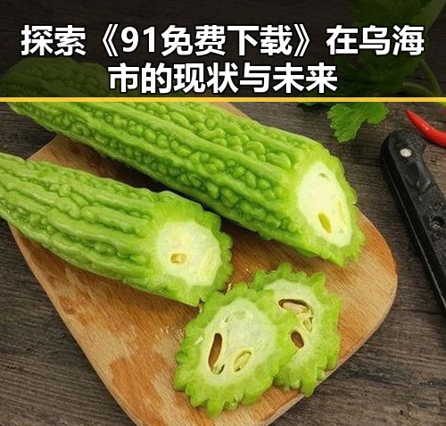 探索《91免费下载》在乌海市的现状与未来