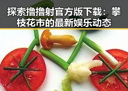 探索撸撸射官方版下载：攀枝花市的最新娱乐动态