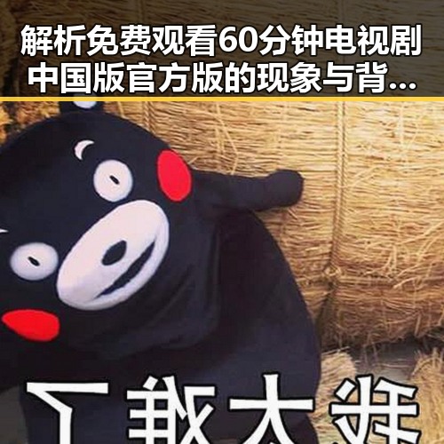 解析 免费观看60分钟电视剧中国版官方版的现象与背后反差