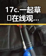 17c.一起草🌿在线观看免费：齐齐哈尔市最新资源解析